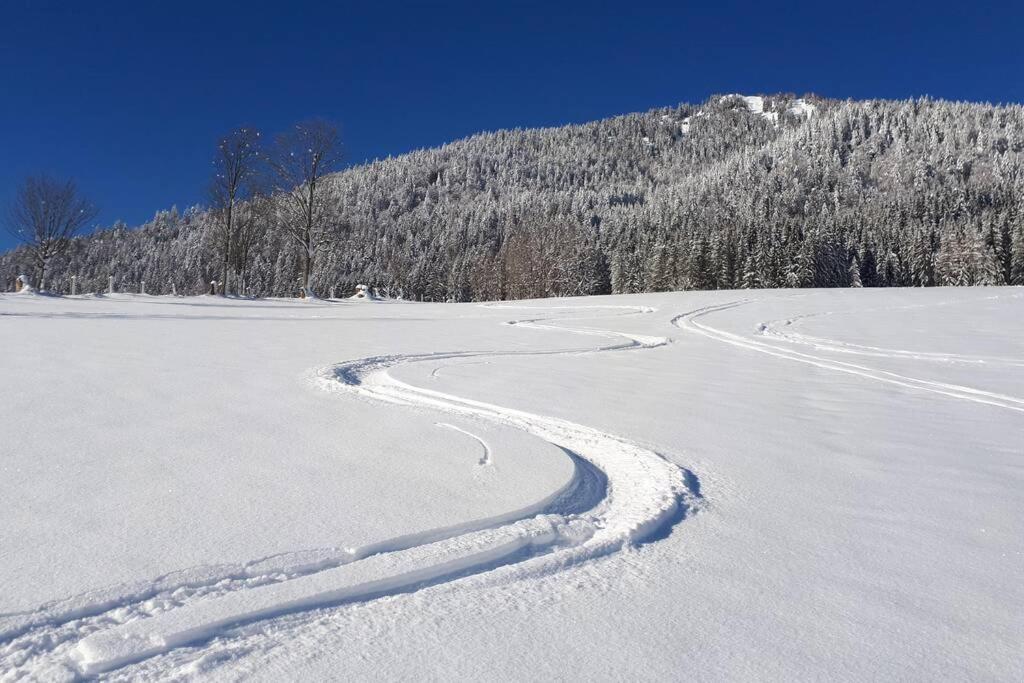 Dutzler Appartement Sankt Martin am Tennengebirge