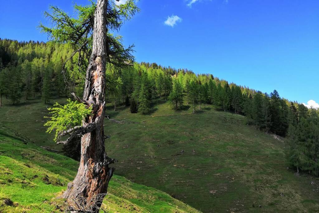 Dutzler Sankt Martin am Tennengebirge